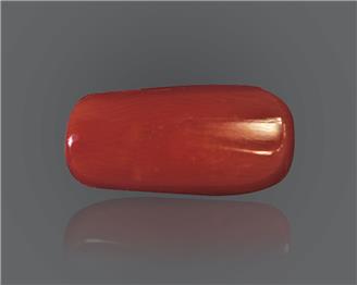 Red Coral (Moonga) Natural Certified 7.72 Ratti ( 84732 )